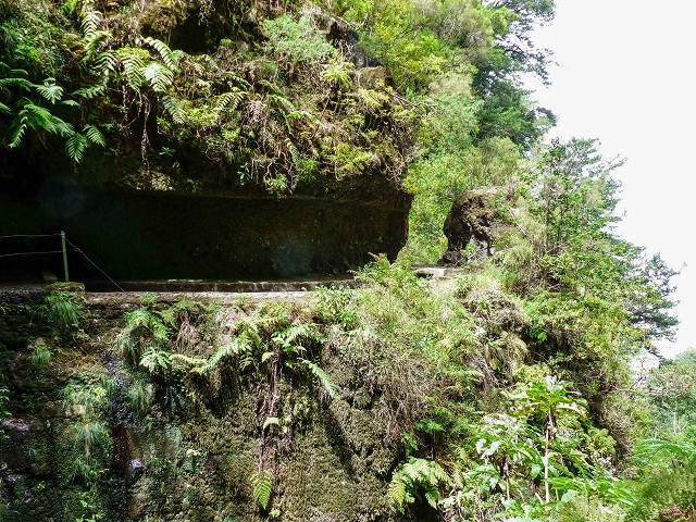 13 August 2017 The great tunnel-rat diploma: From the Madre of the Levada do Norte to the gravel track from Ginjas to Estanquinhos — Crossing of the eastern main branch of the Ribeira do Inferno — photo 12