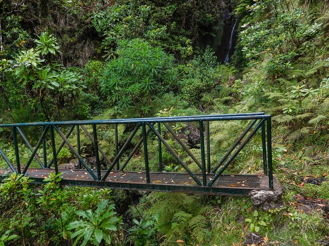 13 August 2017 The great tunnel-rat diploma: From the Madre of the Levada do Norte to the gravel track from Ginjas to Estanquinhos — On the Lombo das Barbinhas to the Norte — photo 7