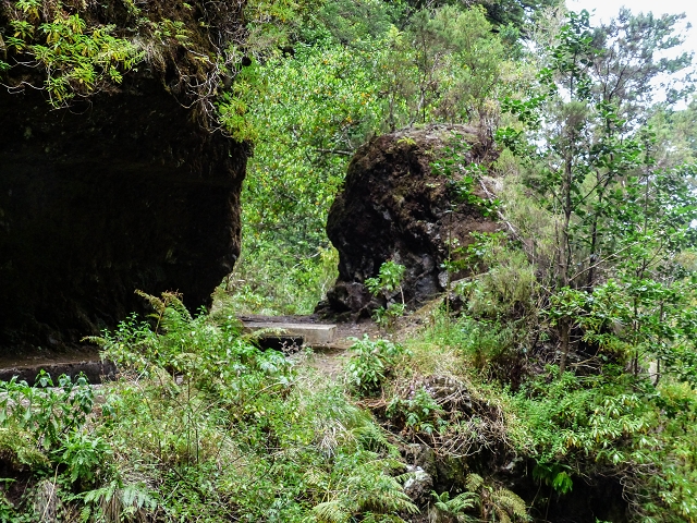 13 August 2017 The great tunnel-rat diploma: From the Madre of the Levada do Norte to the gravel track from Ginjas to Estanquinhos — Crossing of the eastern main branch of the Ribeira do Inferno — photo 15