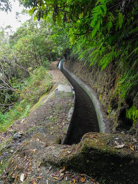 13 August 2017 The great tunnel-rat diploma: From the Madre of the Levada do Norte to the gravel track from Ginjas to Estanquinhos — A possible descent to the Vereda Pau Branco — photo 2