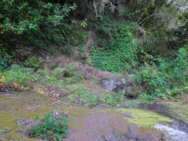 13 August 2017 The great tunnel-rat diploma: From the Madre of the Levada do Norte to the gravel track from Ginjas to Estanquinhos — A possible descent to the Vereda Pau Branco — photo 1