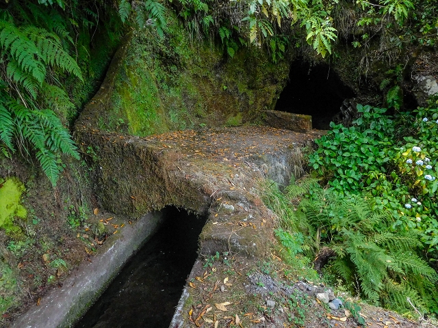 13 August 2017 The great tunnel-rat diploma: From the Madre of the Levada do Norte to the gravel track from Ginjas to Estanquinhos — A possible descent to the Vereda Pau Branco — photo 3
