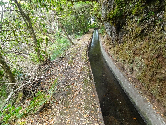 13 August 2017 The great tunnel-rat diploma: From the Madre of the Levada do Norte to the gravel track from Ginjas to Estanquinhos — A possible descent to the Vereda Pau Branco — photo 4