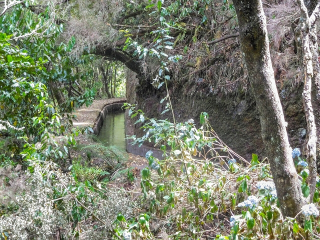 13 August 2017 The great tunnel-rat diploma: From the Madre of the Levada do Norte to the gravel track from Ginjas to Estanquinhos — A possible descent to the Vereda Pau Branco — photo 6