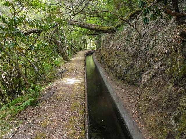 13 August 2017 The great tunnel-rat diploma: From the Madre of the Levada do Norte to the gravel track from Ginjas to Estanquinhos — A possible descent to the Vereda Pau Branco — photo 7