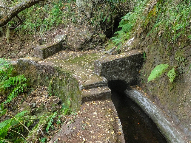 13 August 2017 The great tunnel-rat diploma: From the Madre of the Levada do Norte to the gravel track from Ginjas to Estanquinhos — A possible descent to the Vereda Pau Branco — photo 8