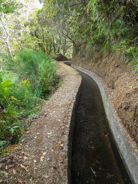 13 August 2017 The great tunnel-rat diploma: From the Madre of the Levada do Norte to the gravel track from Ginjas to Estanquinhos — A possible descent to the Vereda Pau Branco — photo 9