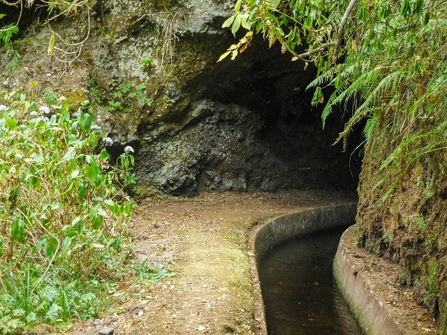 13 August 2017 The great tunnel-rat diploma: From the Madre of the Levada do Norte to the gravel track from Ginjas to Estanquinhos — A possible descent to the Vereda Pau Branco — photo 11