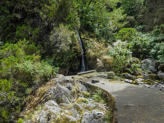 13 August 2017 The great tunnel-rat diploma: From the Madre of the Levada do Norte to the gravel track from Ginjas to Estanquinhos — Short tunnel — photo 2