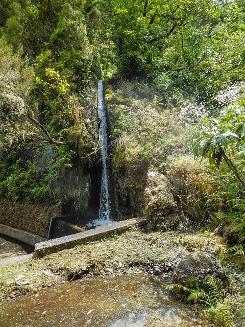 13 August 2017 The great tunnel-rat diploma: From the Madre of the Levada do Norte to the gravel track from Ginjas to Estanquinhos — Crossing of the eastern main branch of the Ribeira do Passo — photo 2