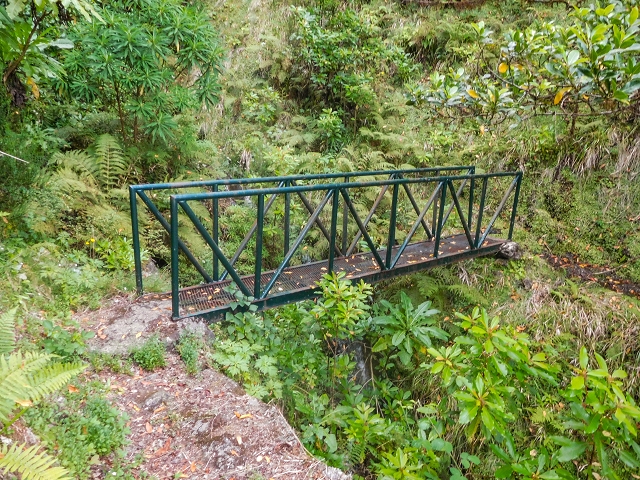 13 August 2017 The great tunnel-rat diploma: From the Madre of the Levada do Norte to the gravel track from Ginjas to Estanquinhos — On the Lombo das Barbinhas to the Norte — photo 9
