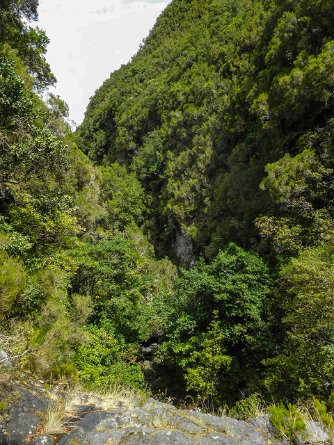 13 August 2017 The great tunnel-rat diploma: From the Madre of the Levada do Norte to the gravel track from Ginjas to Estanquinhos — Crossing of the eastern main branch of the Ribeira do Passo — photo 3