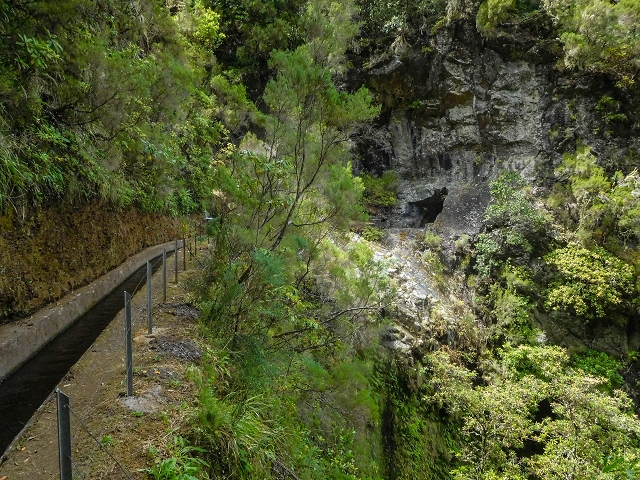 13 August 2017 The great tunnel-rat diploma: From the Madre of the Levada do Norte to the gravel track from Ginjas to Estanquinhos — Crossing of the eastern main branch of the Ribeira do Passo — photo 5