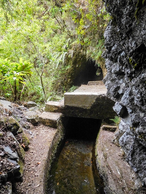 13 August 2017 The great tunnel-rat diploma: From the Madre of the Levada do Norte to the gravel track from Ginjas to Estanquinhos — The long tunnel and the crossing of the western main branch of the Ribeira dos Pombos — photo 2