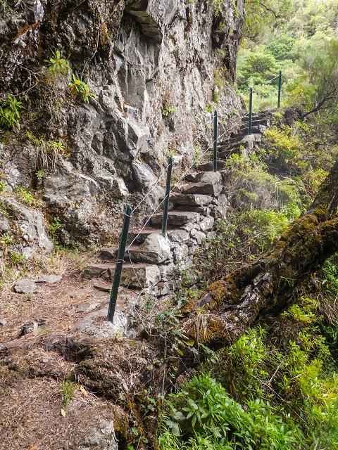 13 August 2017 The great tunnel-rat diploma: From the Madre of the Levada do Norte to the gravel track from Ginjas to Estanquinhos — On the Lombo das Barbinhas to the Norte — photo 10