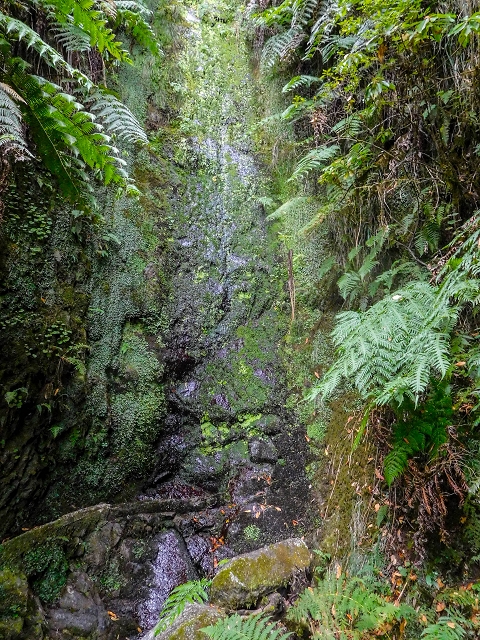 13 August 2017 The great tunnel-rat diploma: From the Madre of the Levada do Norte to the gravel track from Ginjas to Estanquinhos — The short tunnel and the crossing of the eastern main branch of the Ribeira dos Pombos — photo 2