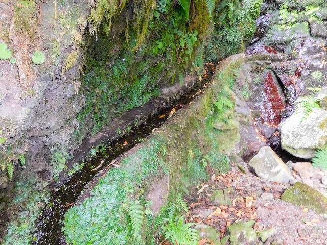13 August 2017 The great tunnel-rat diploma: From the Madre of the Levada do Norte to the gravel track from Ginjas to Estanquinhos — The short tunnel and the crossing of the eastern main branch of the Ribeira dos Pombos — photo 3