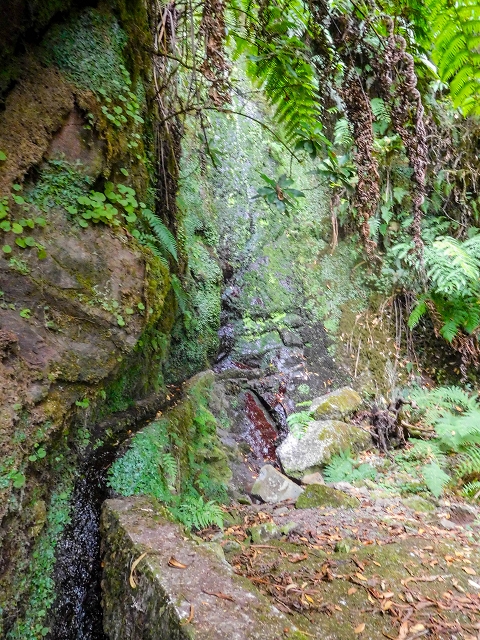 13 August 2017 The great tunnel-rat diploma: From the Madre of the Levada do Norte to the gravel track from Ginjas to Estanquinhos — The short tunnel and the crossing of the eastern main branch of the Ribeira dos Pombos — photo 4