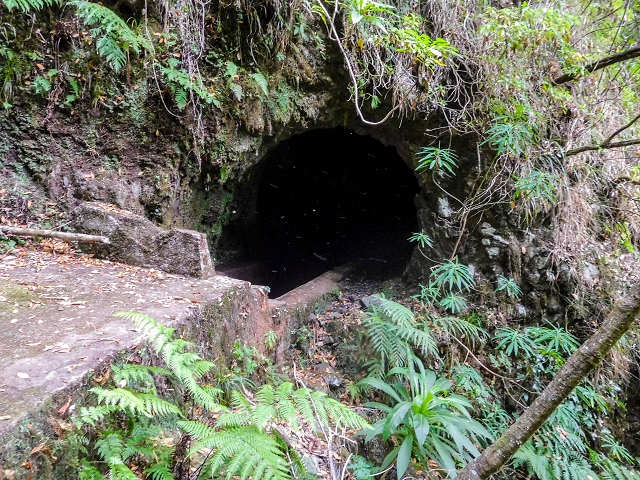 13 August 2017 The great tunnel-rat diploma: From the Madre of the Levada do Norte to the gravel track from Ginjas to Estanquinhos — The short tunnel and the crossing of the eastern main branch of the Ribeira dos Pombos — photo 5