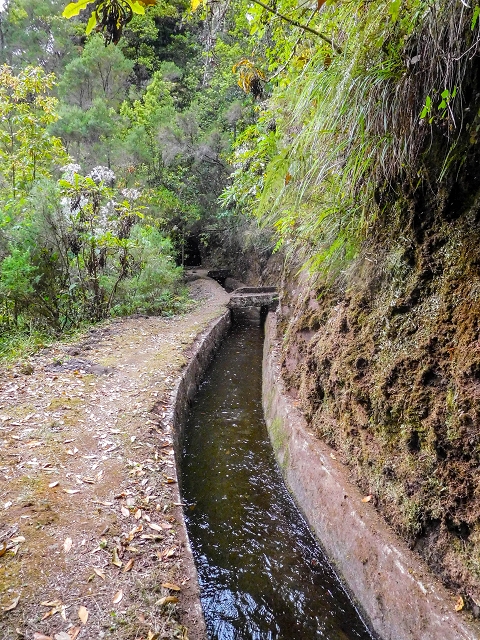 13 August 2017 The great tunnel-rat diploma: From the Madre of the Levada do Norte to the gravel track from Ginjas to Estanquinhos — The short tunnel and the crossing of the eastern main branch of the Ribeira dos Pombos — photo 6