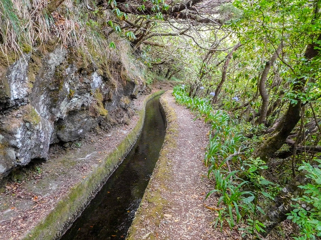13 August 2017 The great tunnel-rat diploma: From the Madre of the Levada do Norte to the gravel track from Ginjas to Estanquinhos — The second-to-last tunnel and the view of Sao Vicente beginning — photo 2