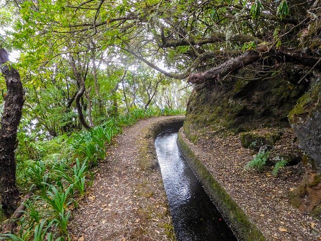 13 August 2017 The great tunnel-rat diploma: From the Madre of the Levada do Norte to the gravel track from Ginjas to Estanquinhos — The second-to-last tunnel and the view of Sao Vicente beginning — photo 3