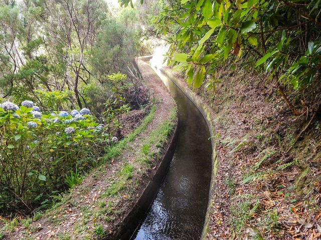 13 August 2017 The great tunnel-rat diploma: From the Madre of the Levada do Norte to the gravel track from Ginjas to Estanquinhos — On the Norte to the crossing of the Ribeira do Vimieiro and the first tunnel — photo 1