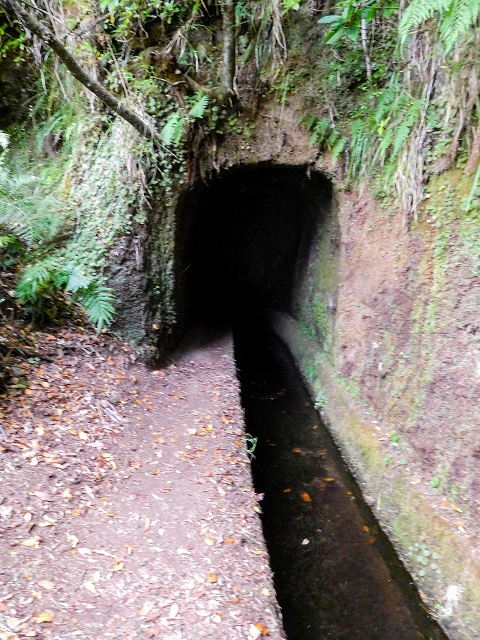 13 August 2017 The great tunnel-rat diploma: From the Madre of the Levada do Norte to the gravel track from Ginjas to Estanquinhos — The last S-shaped tunnel — photo 1