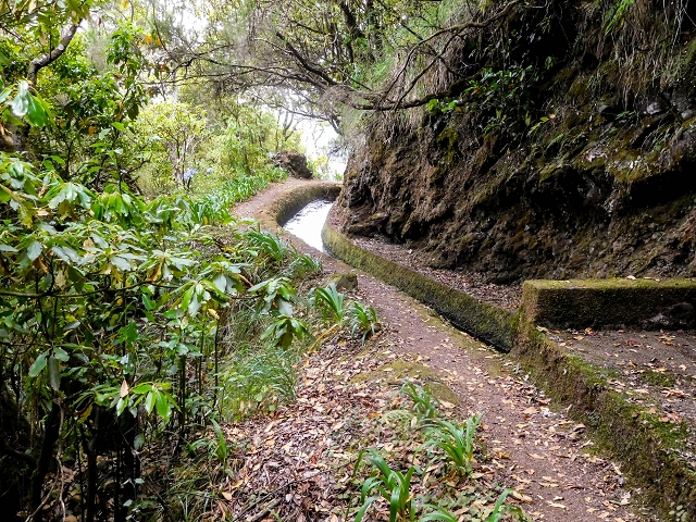 13 August 2017 The great tunnel-rat diploma: From the Madre of the Levada do Norte to the gravel track from Ginjas to Estanquinhos — Open levada with a view of Sao Vicente — photo 3
