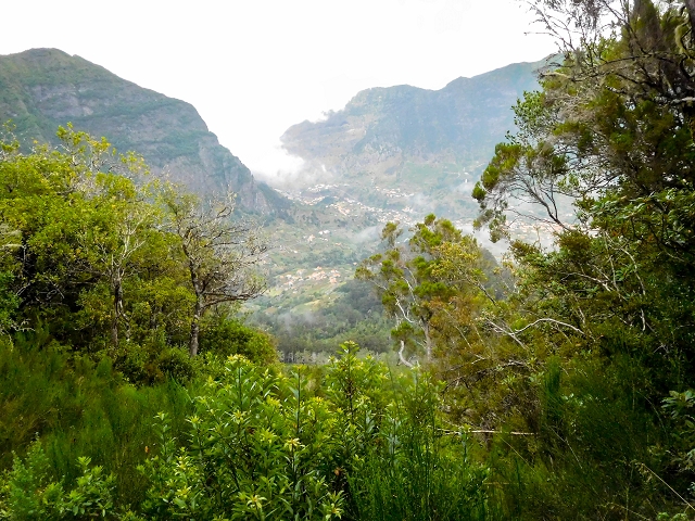 13 August 2017 The great tunnel-rat diploma: From the Madre of the Levada do Norte to the gravel track from Ginjas to Estanquinhos — Open levada with a view of Sao Vicente — photo 4