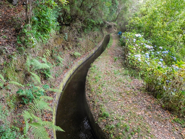 13 August 2017 The great tunnel-rat diploma: From the Madre of the Levada do Norte to the gravel track from Ginjas to Estanquinhos — On the Norte to the crossing of the Ribeira do Vimieiro and the first tunnel — photo 2