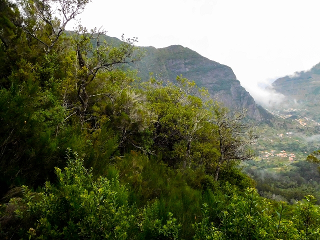 13 August 2017 The great tunnel-rat diploma: From the Madre of the Levada do Norte to the gravel track from Ginjas to Estanquinhos — Open levada with a view of Sao Vicente — photo 5