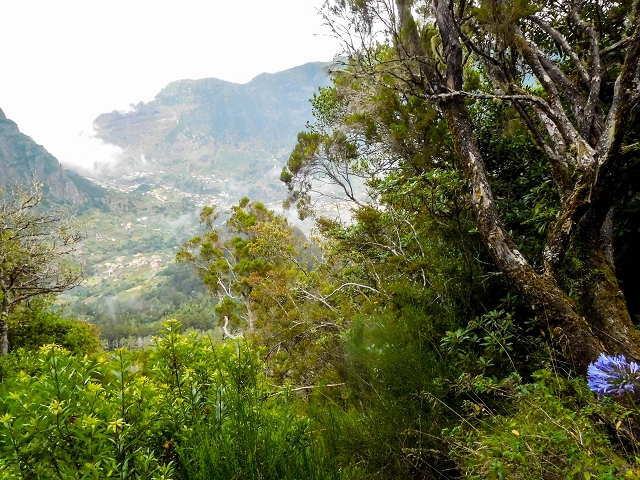 13 August 2017 The great tunnel-rat diploma: From the Madre of the Levada do Norte to the gravel track from Ginjas to Estanquinhos — Open levada with a view of Sao Vicente — photo 6