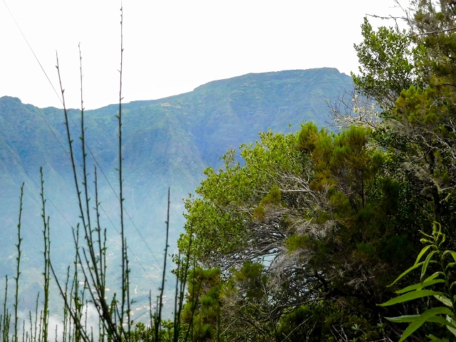 13 August 2017 The great tunnel-rat diploma: From the Madre of the Levada do Norte to the gravel track from Ginjas to Estanquinhos — Open levada with a view of Sao Vicente — photo 7