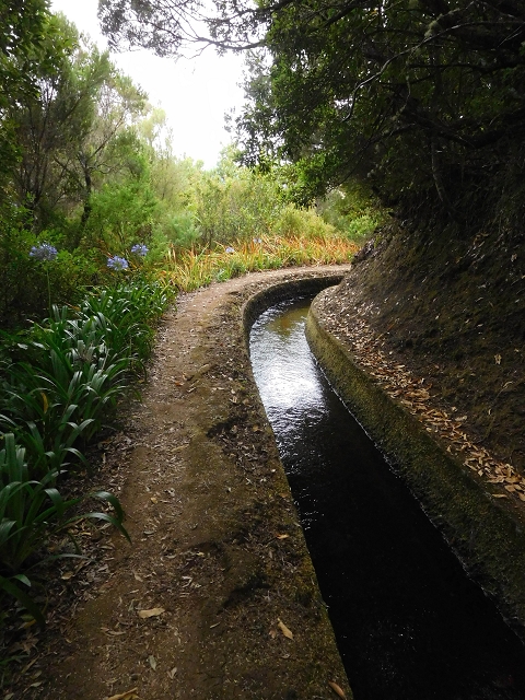 13 August 2017 The great tunnel-rat diploma: From the Madre of the Levada do Norte to the gravel track from Ginjas to Estanquinhos — Open levada with a view of Sao Vicente — photo 8
