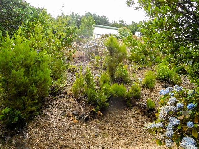 13 August 2017 The great tunnel-rat diploma: From the Madre of the Levada do Norte to the gravel track from Ginjas to Estanquinhos — The western levada house — photo 1