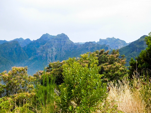 13 August 2017 The great tunnel-rat diploma: From the Madre of the Levada do Norte to the gravel track from Ginjas to Estanquinhos — Ascent on the track to the Levada do Plaino Velho — photo 1