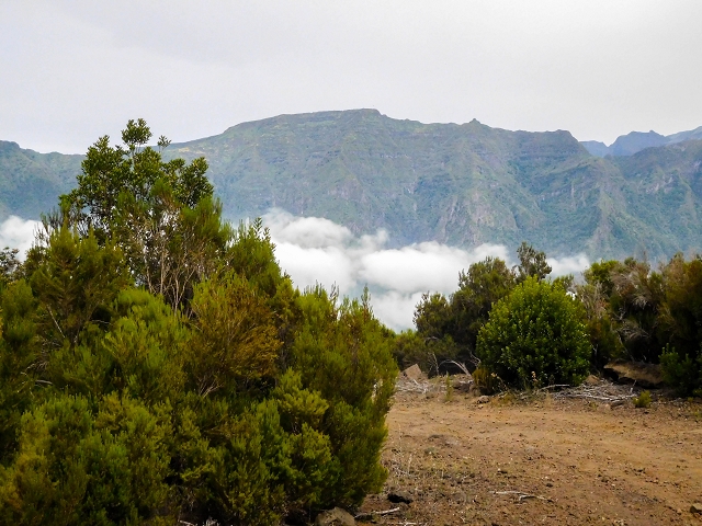 13 August 2017 The great tunnel-rat diploma: From the Madre of the Levada do Norte to the gravel track from Ginjas to Estanquinhos — Ascent on the track to the Levada do Plaino Velho — photo 6