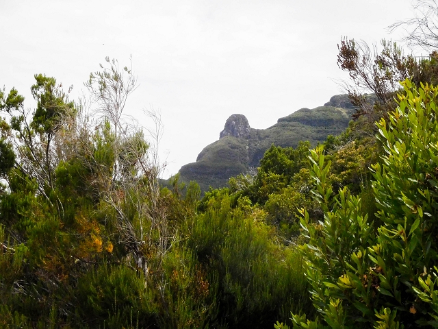 13 August 2017 The great tunnel-rat diploma: From the Madre of the Levada do Norte to the gravel track from Ginjas to Estanquinhos — Ascent on the track to the Levada do Plaino Velho — photo 7