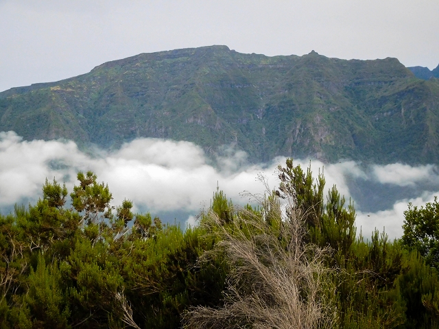 13 August 2017 The great tunnel-rat diploma: From the Madre of the Levada do Norte to the gravel track from Ginjas to Estanquinhos — Ascent on the track to the Levada do Plaino Velho — photo 8