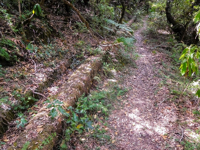 13 August 2017 The great tunnel-rat diploma: From the Madre of the Levada do Norte to the gravel track from Ginjas to Estanquinhos — On the Levada do Plaino Velho — photo 1