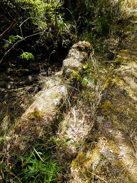13 August 2017 The great tunnel-rat diploma: From the Madre of the Levada do Norte to the gravel track from Ginjas to Estanquinhos — On the Levada do Plaino Velho — photo 2