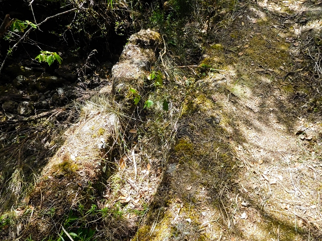 13 August 2017 The great tunnel-rat diploma: From the Madre of the Levada do Norte to the gravel track from Ginjas to Estanquinhos — On the Levada do Plaino Velho — photo 3