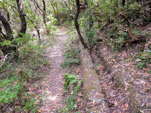 13 August 2017 The great tunnel-rat diploma: From the Madre of the Levada do Norte to the gravel track from Ginjas to Estanquinhos — On the Levada do Plaino Velho — photo 4
