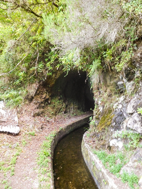 13 August 2017 The great tunnel-rat diploma: From the Madre of the Levada do Norte to the gravel track from Ginjas to Estanquinhos — Crossing of the northern branch of the Ribeira do Folhado — photo 1