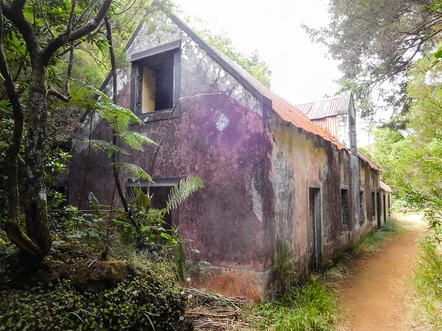 13 August 2017 The great tunnel-rat diploma: From the Madre of the Levada do Norte to the gravel track from Ginjas to Estanquinhos — On the PR 17 and Casa do Caramujo — photo 3