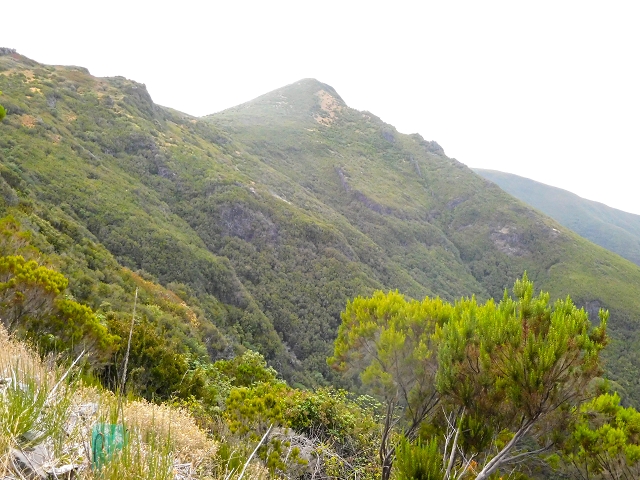 13 August 2017 The great tunnel-rat diploma: From the Madre of the Levada do Norte to the gravel track from Ginjas to Estanquinhos — On the gravel track as far as Estanquinhos — photo 8