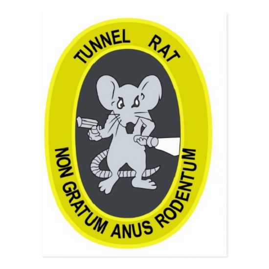 13 August 2017 The great tunnel-rat diploma: From the Madre of the Levada do Norte to the gravel track from Ginjas to Estanquinhos — The tunnel-rat diploma — photo 1