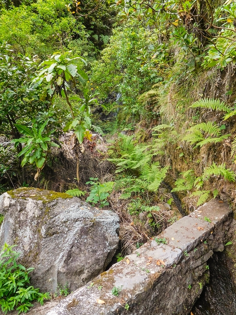 13 August 2017 The great tunnel-rat diploma: From the Madre of the Levada do Norte to the gravel track from Ginjas to Estanquinhos — Crossing of the southern branch of the Ribeira do Folhado — photo 1