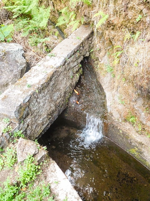13 August 2017 The great tunnel-rat diploma: From the Madre of the Levada do Norte to the gravel track from Ginjas to Estanquinhos — Crossing of the southern branch of the Ribeira do Folhado — photo 2